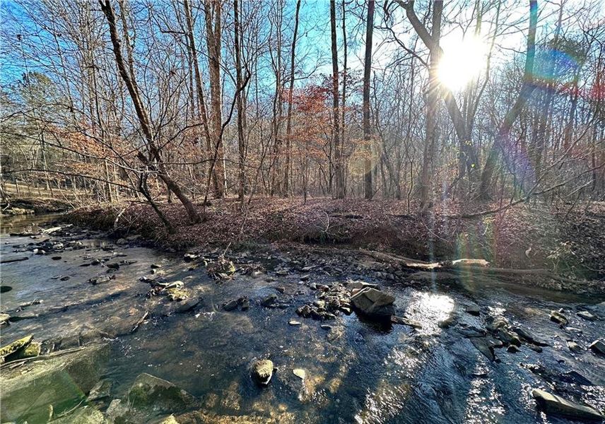 Natural landscape and outdoor views near  in Cumming (Image 18).