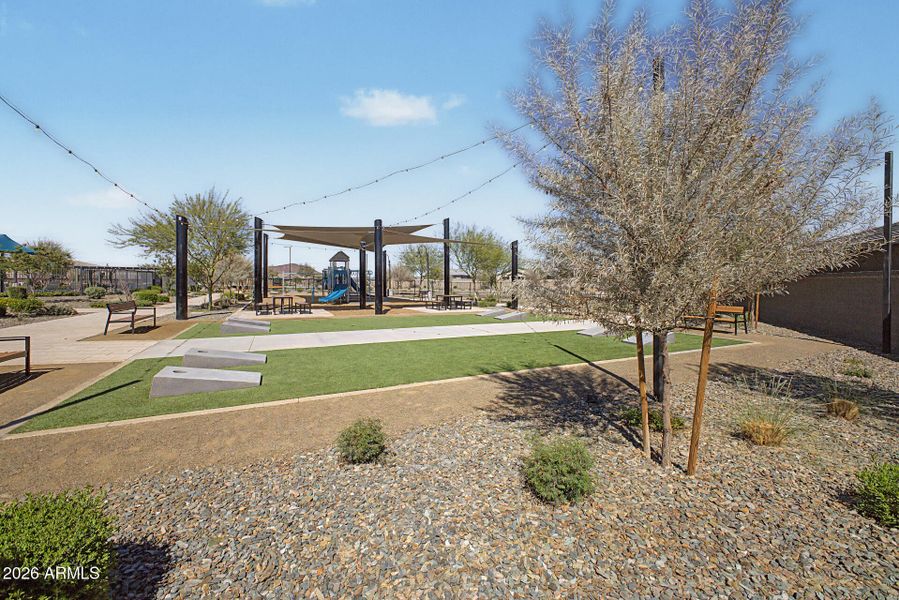 45 - Desert Hollow 16014 45 - Desert Hollow 16014