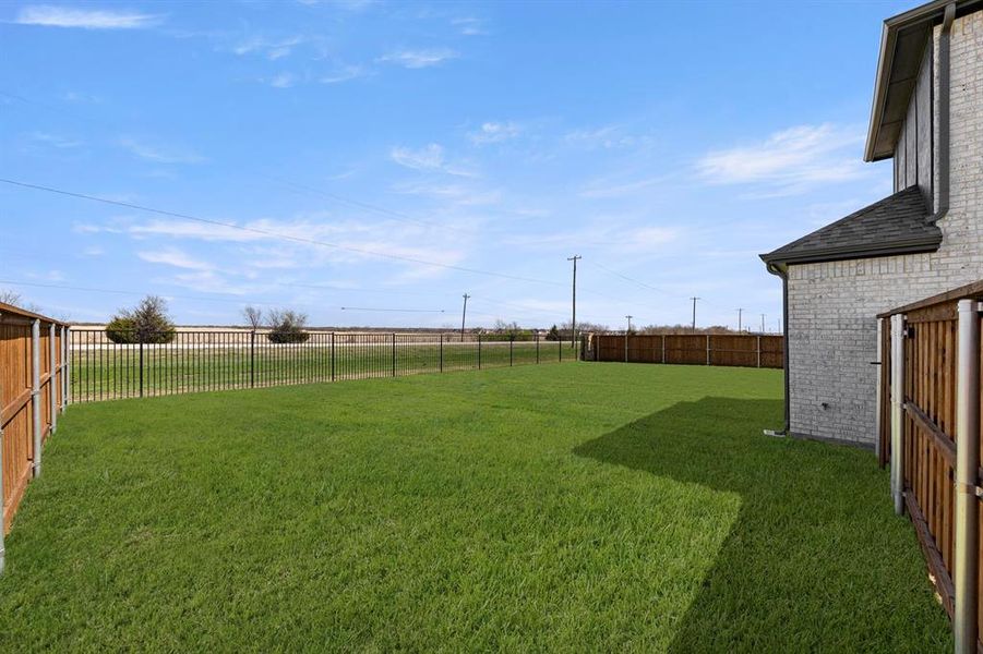 27. 9729 Palermo - Back (2)