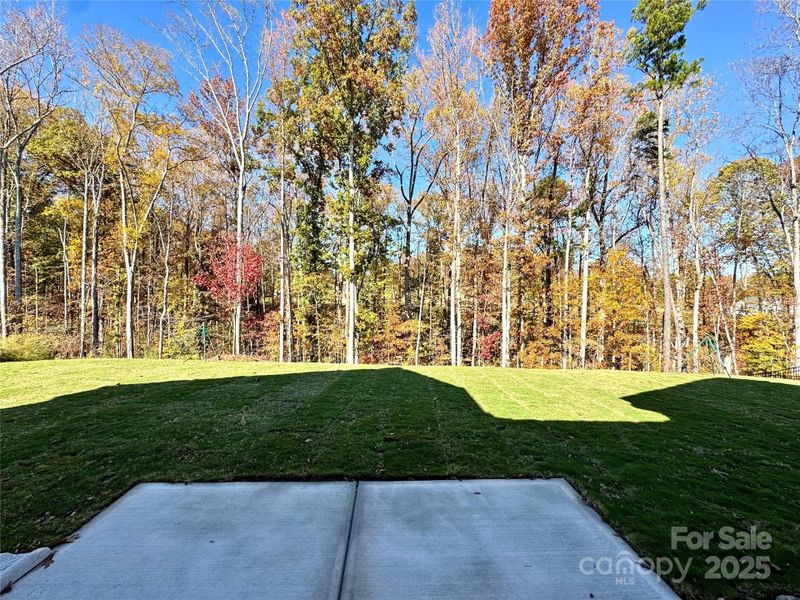 Natural landscape and outdoor views near Red Hill in Concord (Image 17).