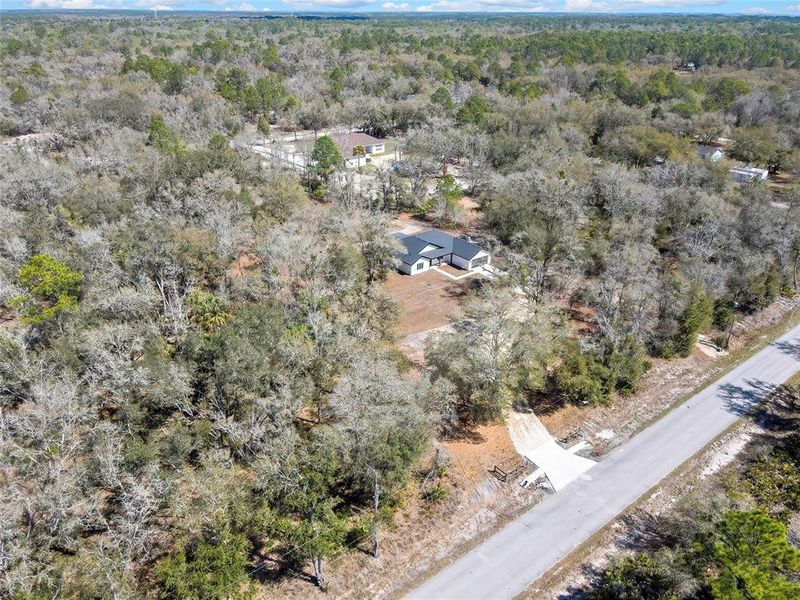 Natural landscape and outdoor views near  in Crystal River (Image 47).