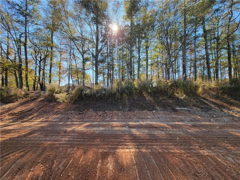 Image 27 of a home in The Estates at Casteel.
