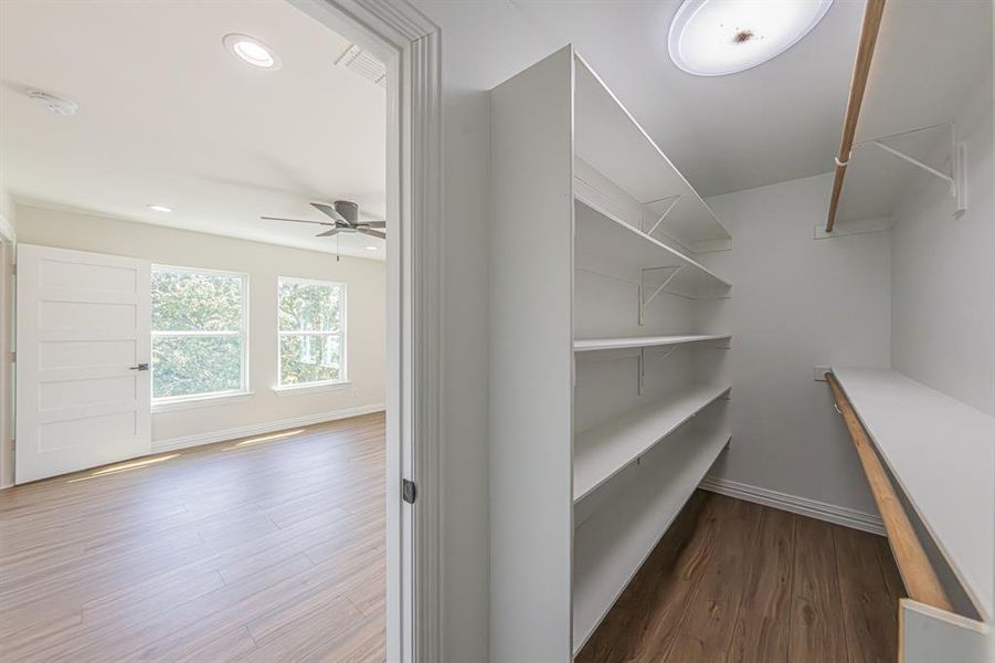 Walk in closet with dark wood-style flooring and a ceiling fan Walk in closet with dark wood-style flooring and a ceiling fan