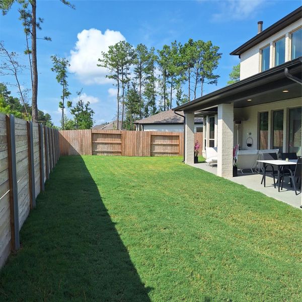 Backyard 2 Backyard 2