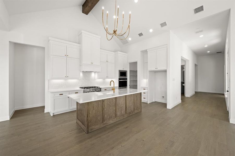 4728 Hawthorn Hills- Kitchen-2