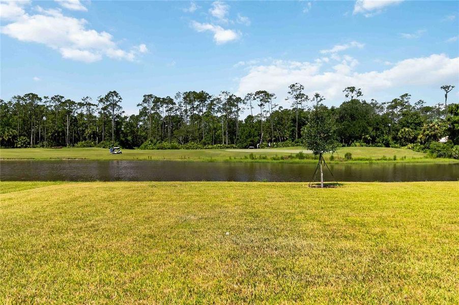 Natural landscape and outdoor views near in Daytona Beach (Image 41). Natural landscape and outdoor views near in Daytona Beach (Image 41).
