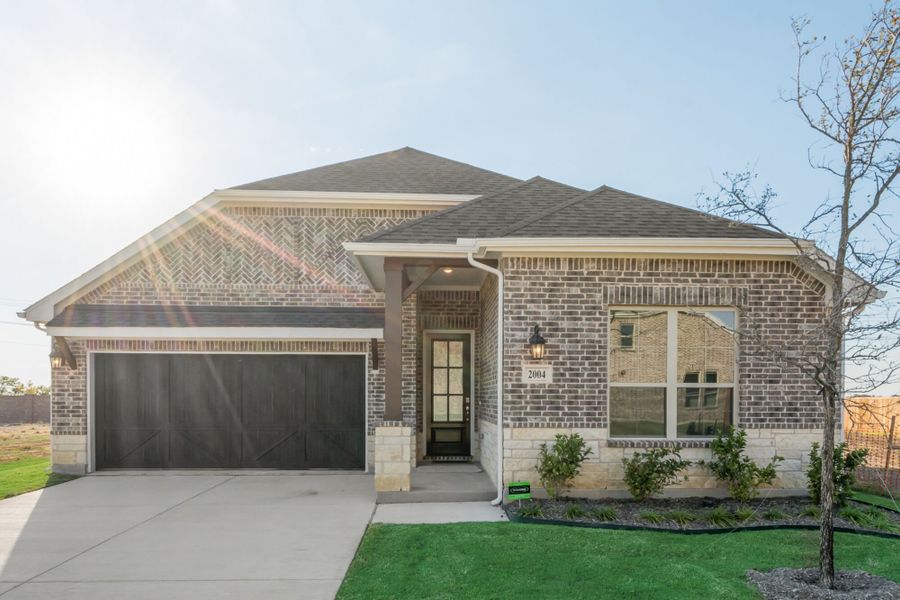 Jasmine Front Jasmine Front