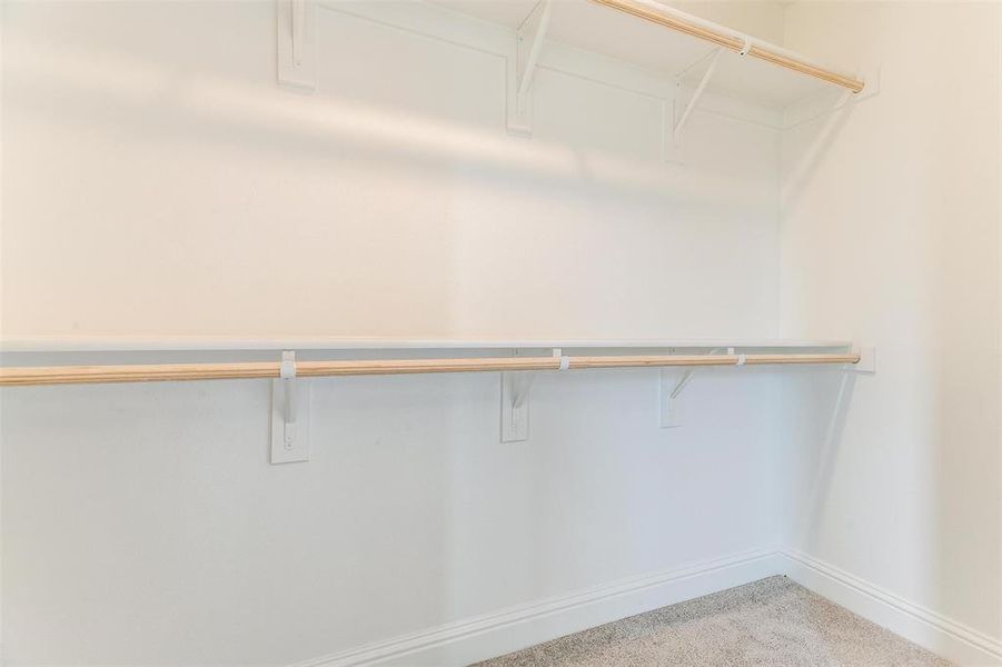 Walk in closet with carpet