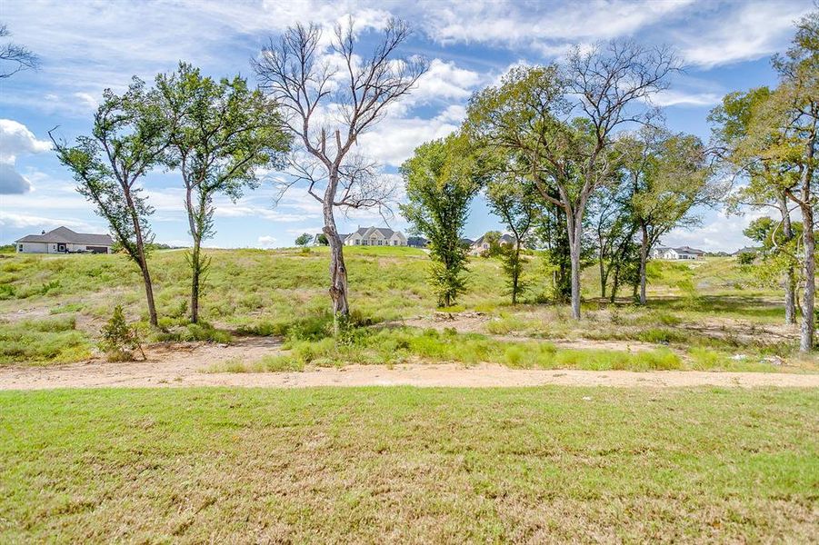 Treed backyard Treed backyard
