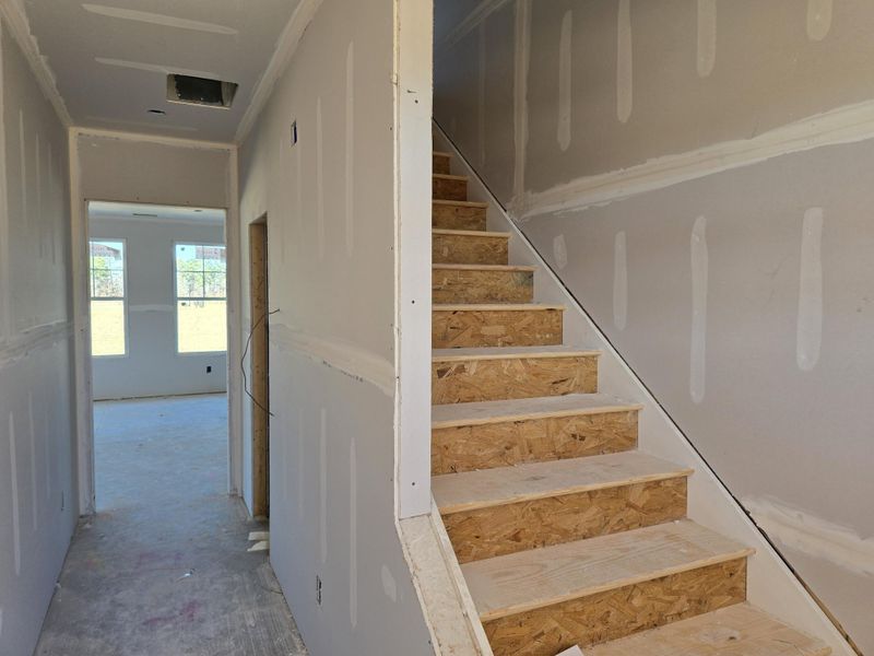 1000024657 1000024657