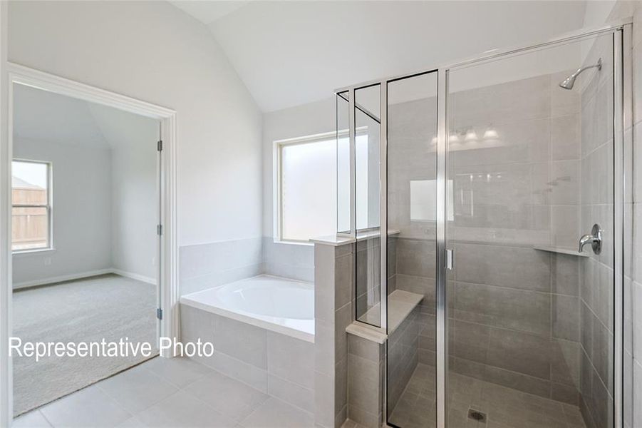 Bathroom with separate shower and tub, lofted ceiling, and a healthy amount of sunlight