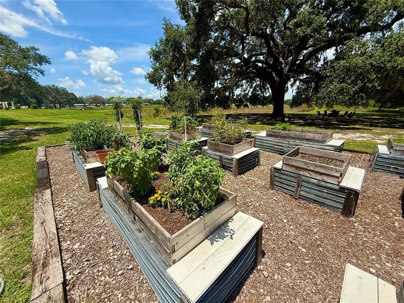 Front exterior of a new home in , Oxford, FL, highlighting curb appeal (Image 23).
