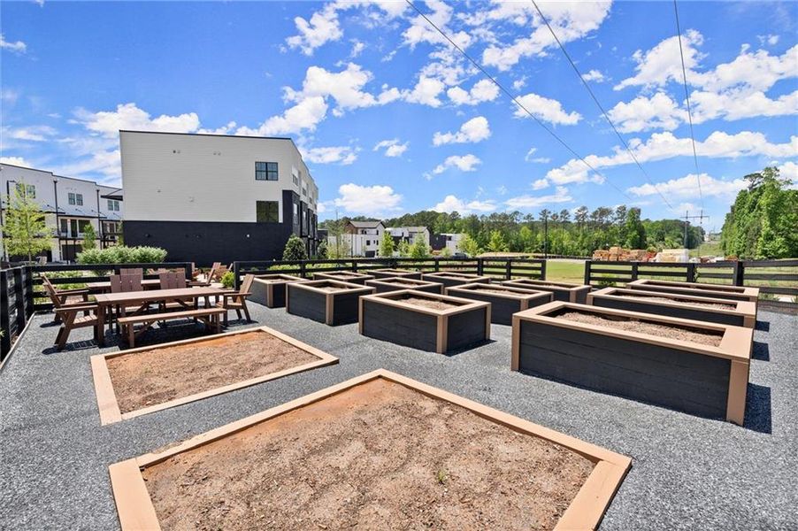 Community amenities in , Alpharetta (Image 60).