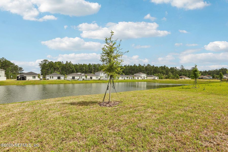 Natural landscape and outdoor views near Kings Preserve in Jacksonville (Image 33).