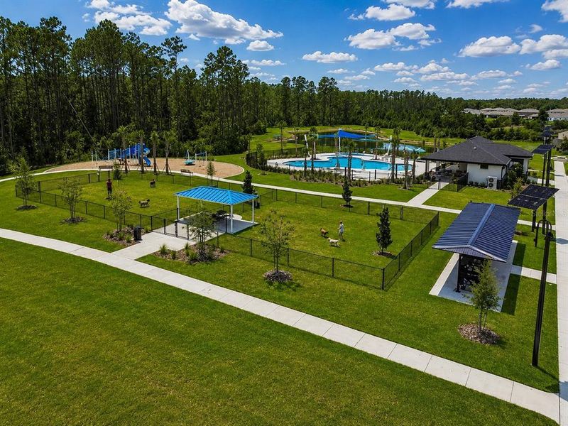 Community amenities in Deerbrook, Land O' Lakes (Image 40).