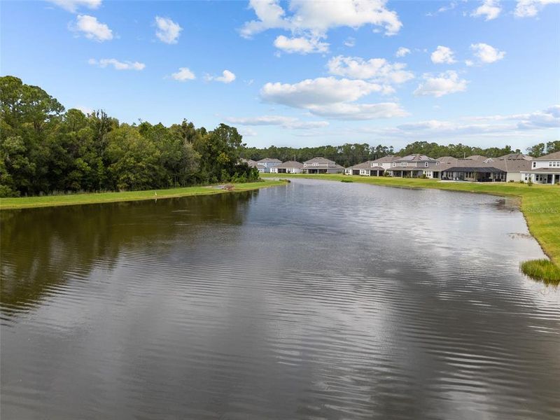 Natural landscape and outdoor views near River Landing in Wesley Chapel (Image 40).