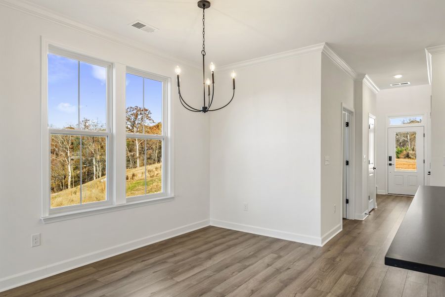 Spacious, unfurnished interior of a new home in Lakeside Saluda, Greenville (Image 19).