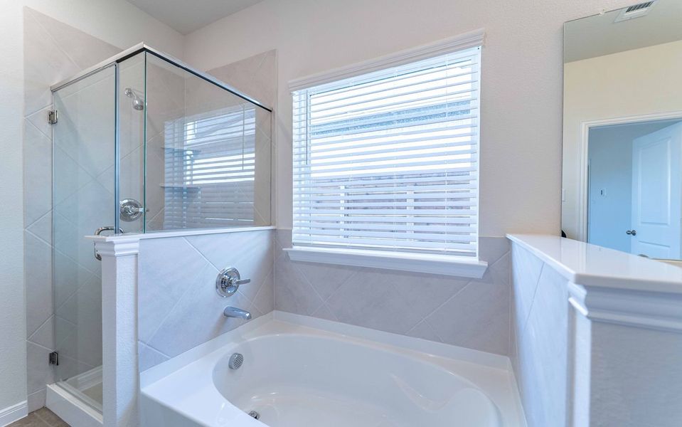 Image 18 of a home in Solterra.