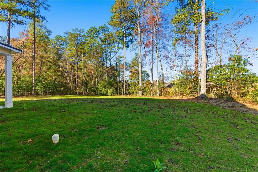 Natural landscape and outdoor views near The Estates at Hurricane Pointe in Douglasville (Image 49). Natural landscape and outdoor views near The Estates at Hurricane Pointe in Douglasville (Image 49).