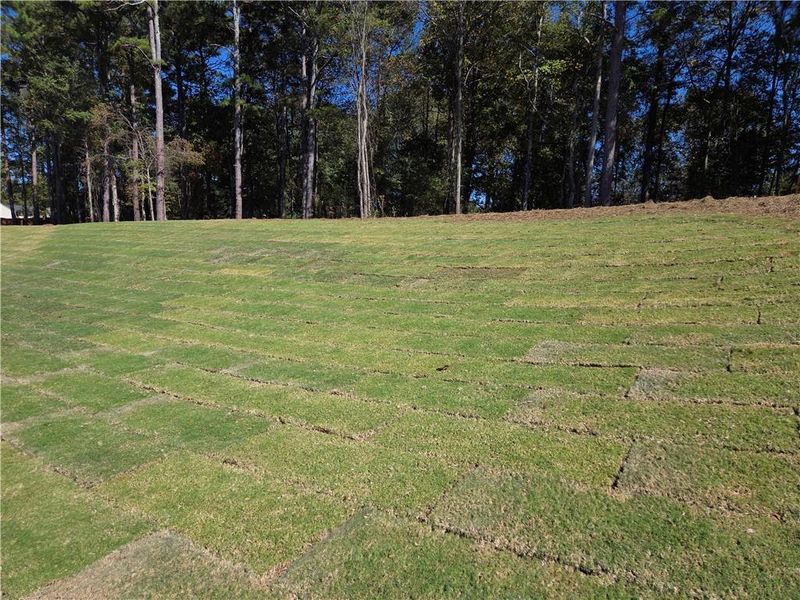 Natural landscape and outdoor views near River Meadows in Bethlehem (Image 33).