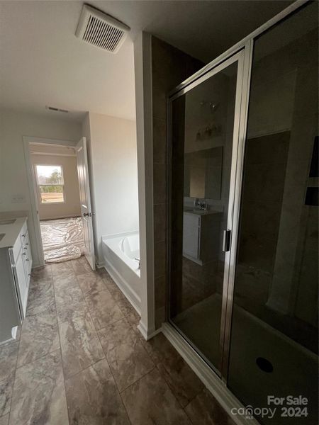 Owners bathroom