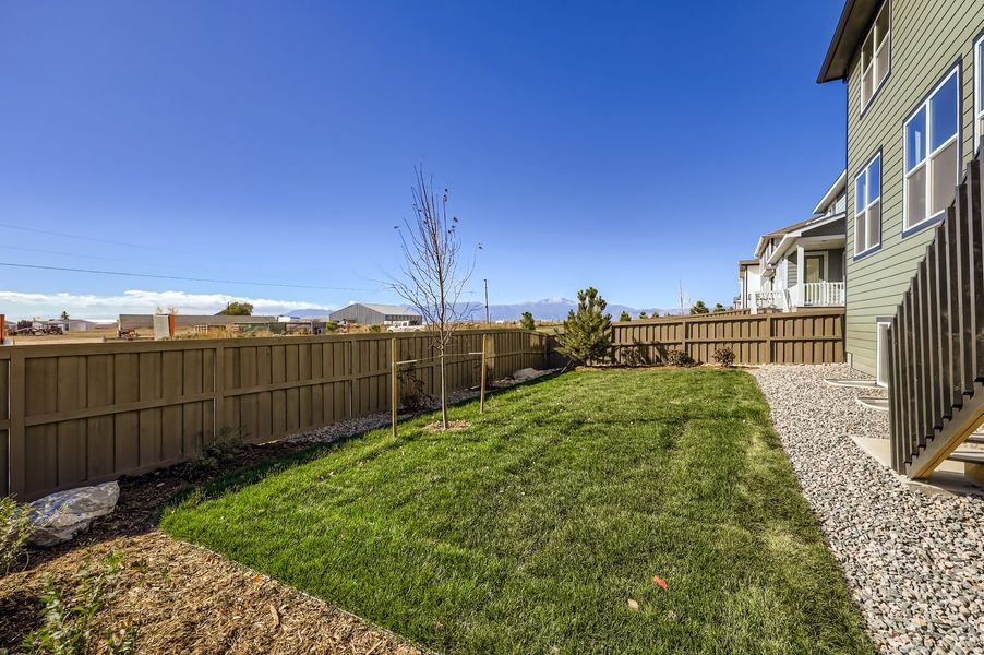 7989 Polson - Backyard