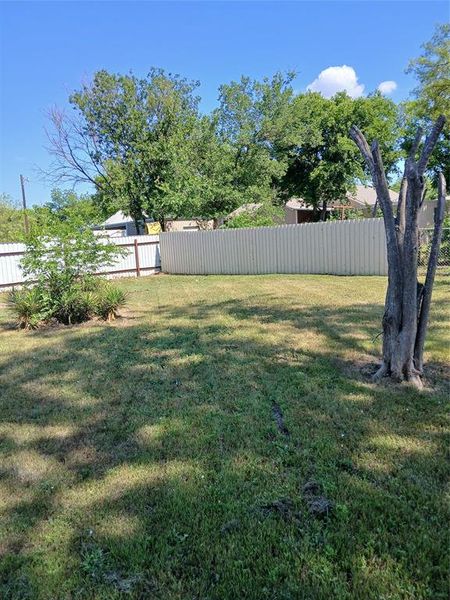 Back yard