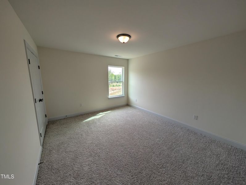 PXL_20250406_194108534