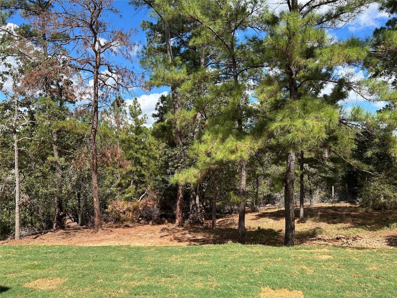 View of the backyard from the back porch. View of the backyard from the back porch.