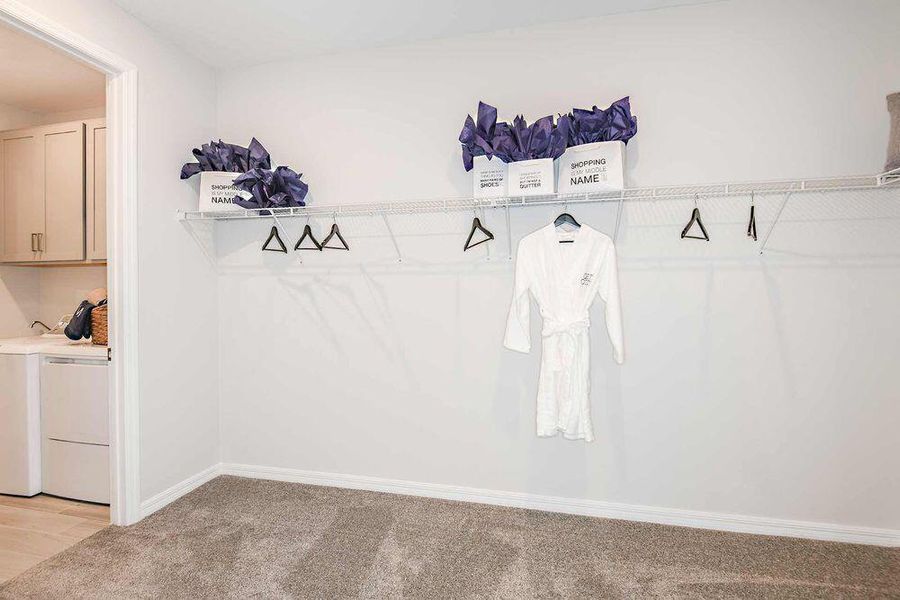 Representative Photo