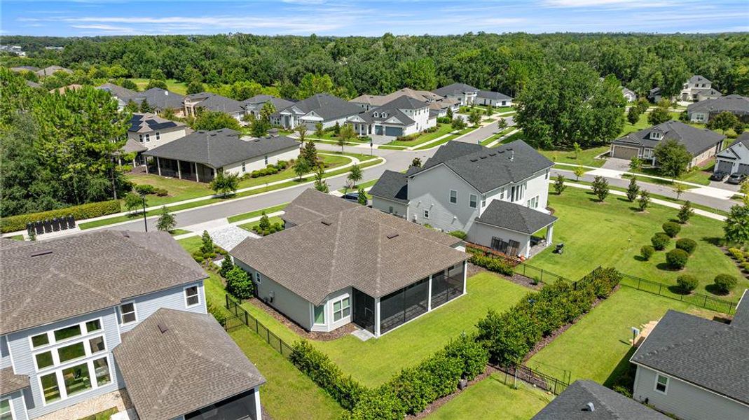 Overview of the backyard