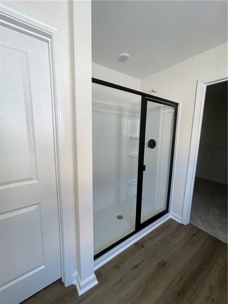 Spacious, unfurnished interior of a new home in Springwood Grove, Central (Image 29).