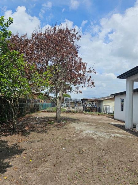 Natural landscape and outdoor views near in Kissimmee (Image 27). Natural landscape and outdoor views near in Kissimmee (Image 27).