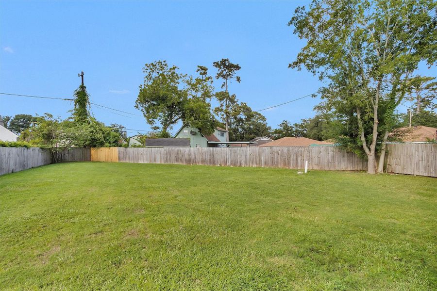 Backyard