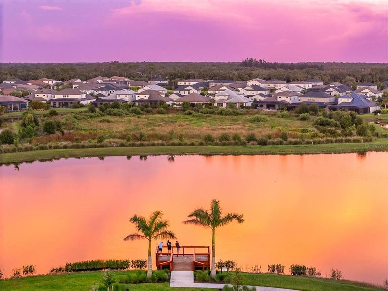 Natural landscape and outdoor views near  in Sarasota (Image 68).