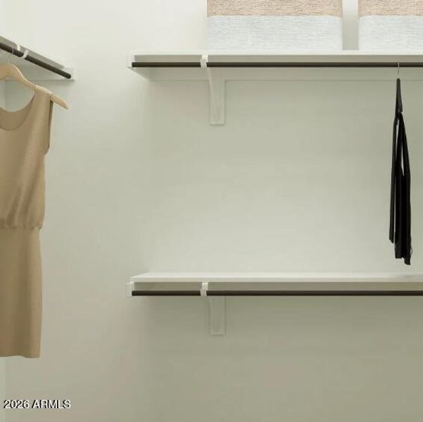 Owners Walk in Closet