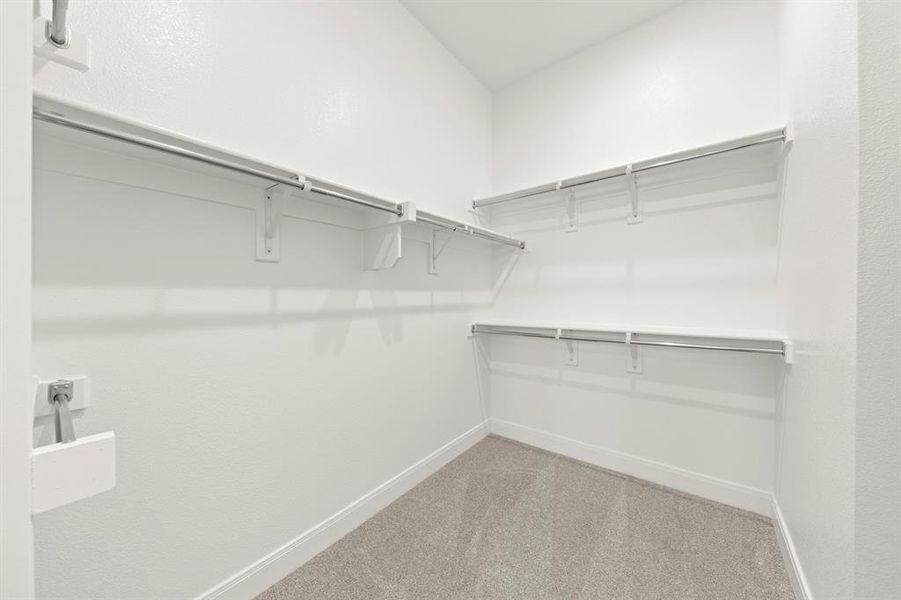 23. 1639 Yorkie - Closet 23. 1639 Yorkie - Closet