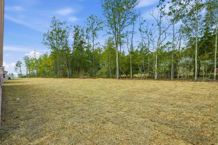 Natural landscape and outdoor views near Southern Charm in Crestview (Image 45).