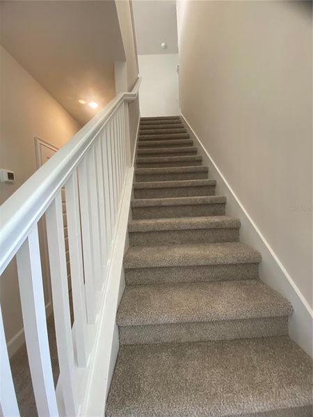 Spacious, unfurnished interior of a new home in Harmony Central, Harmony (Image 28). Spacious, unfurnished interior of a new home in Harmony Central, Harmony (Image 28).