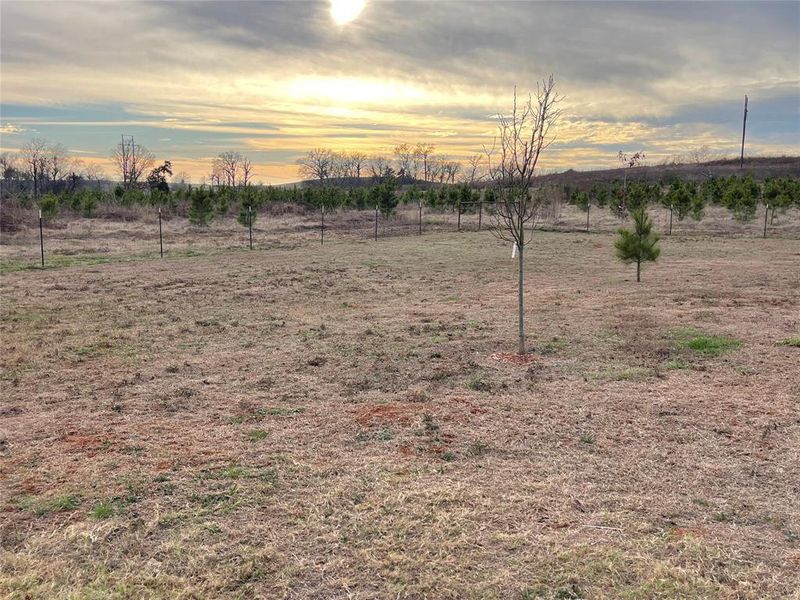 Natural landscape and outdoor views near in Bullard (Image 30). Natural landscape and outdoor views near in Bullard (Image 30).