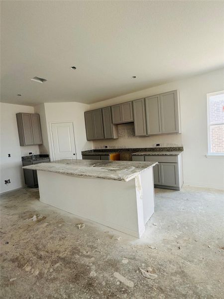 619 Yaupon Holly Drive ~ Under Construction 619 Yaupon Holly Drive ~ Under Construction