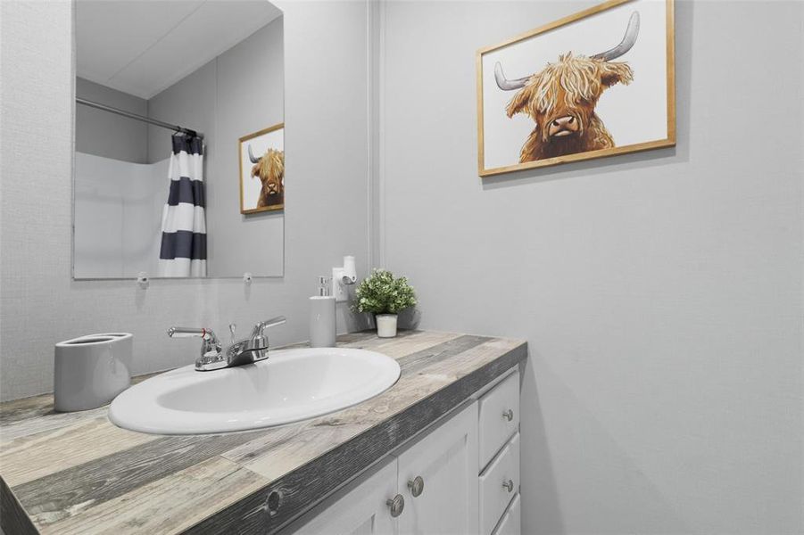 Full bathroom featuring vanity and a shower with shower curtain Full bathroom featuring vanity and a shower with shower curtain