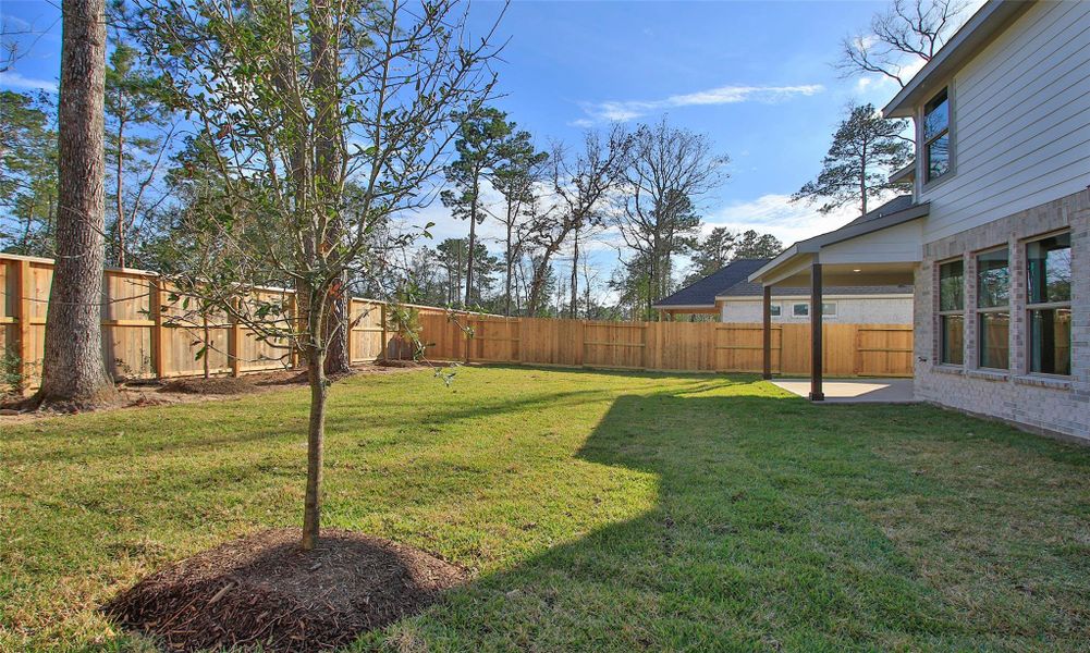 Exterior details and patio area of a home in The Woodlands Hills, Willis (Image 3).