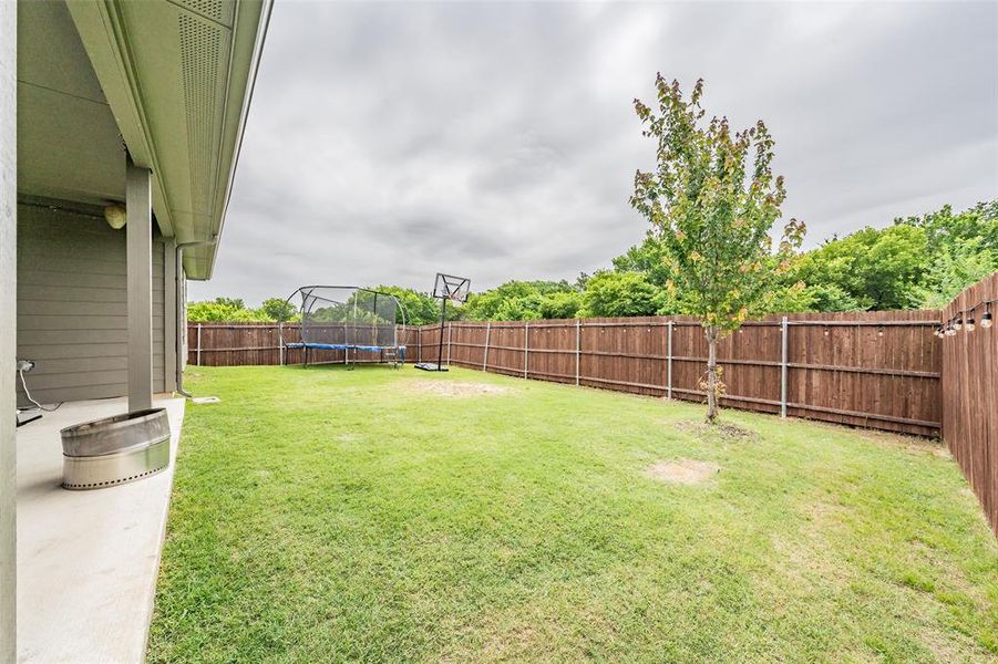 Expansive backyard featuring a lush green lawn, full privacy fencing, and a mature tree