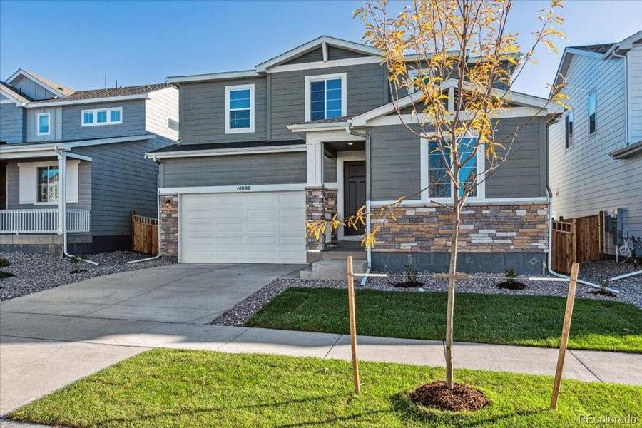 Image 20 of a home in Floret Collection at Alder Creek.