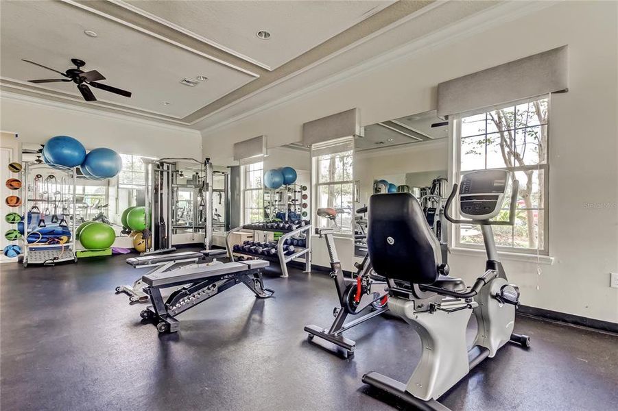 Community amenities in Lakes at Laurel Highlands, Lakeland (Image 59).