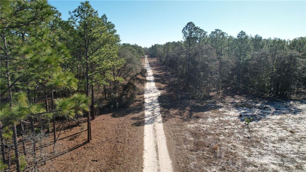 Natural landscape and outdoor views near  in Ocala (Image 36).