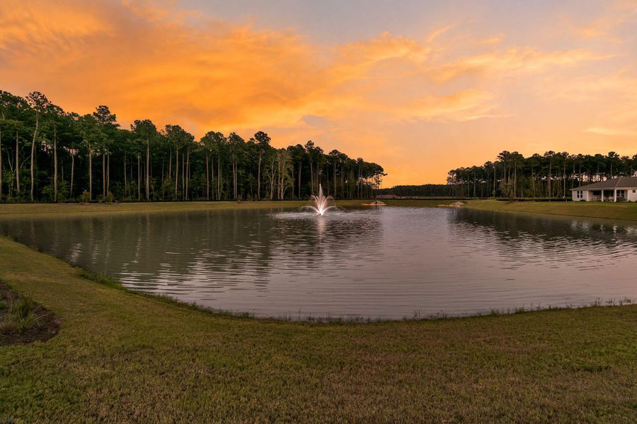 Natural landscape and outdoor views near  in Summerville (Image 50).