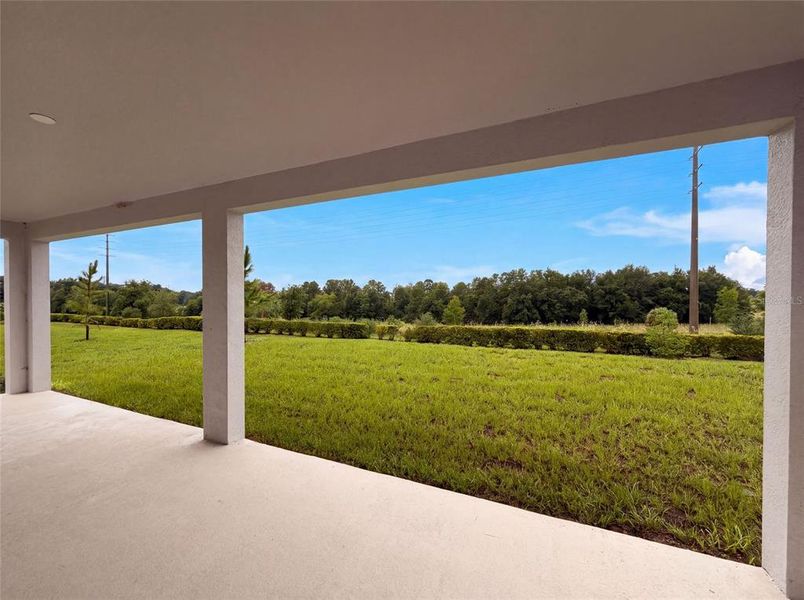 Exterior details and patio area of a home in Meadow Pointe, Groveland (Image 4).