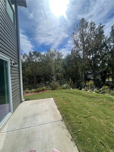 Exterior details and patio area of a home in Springwood Grove, Central (Image 19).